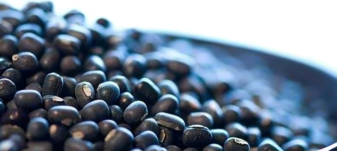 Black Matpe Beans