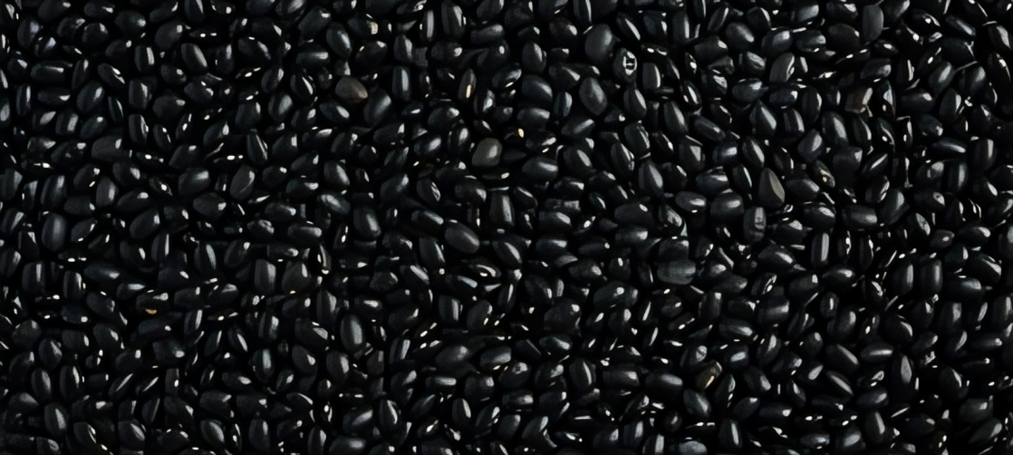 Black Matpe Beans 1