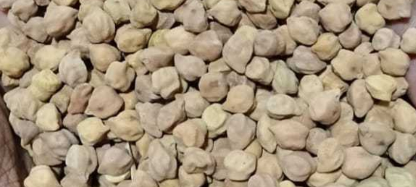 Crimson Lentils Beans