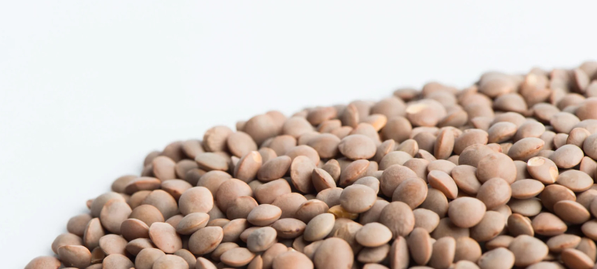 Crimson Lentils Beans 1