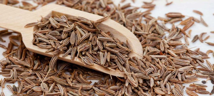 Cumin Seeds Beans