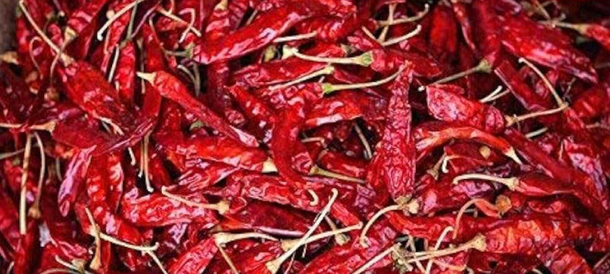 Dry Red ChilliBeans 1