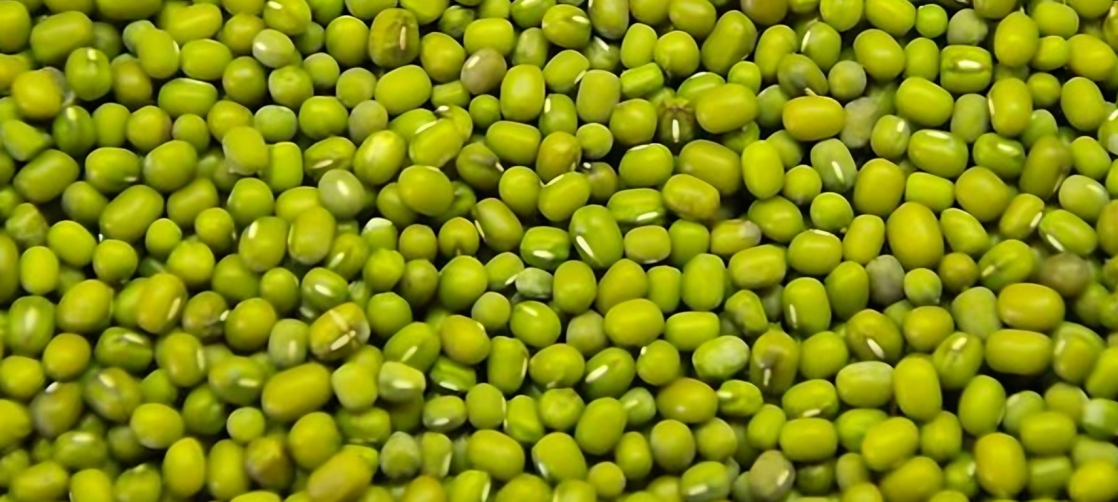 Green Mung Beans 1