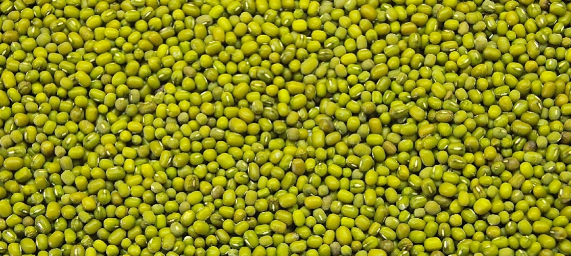 Green Mung Beans 2