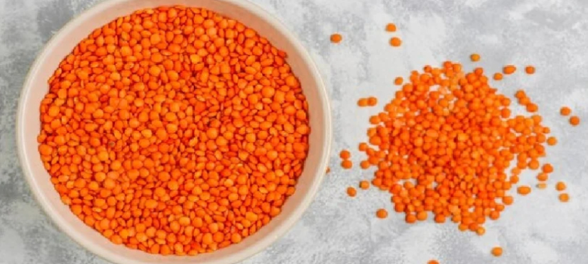 Nipper Lentils Beans