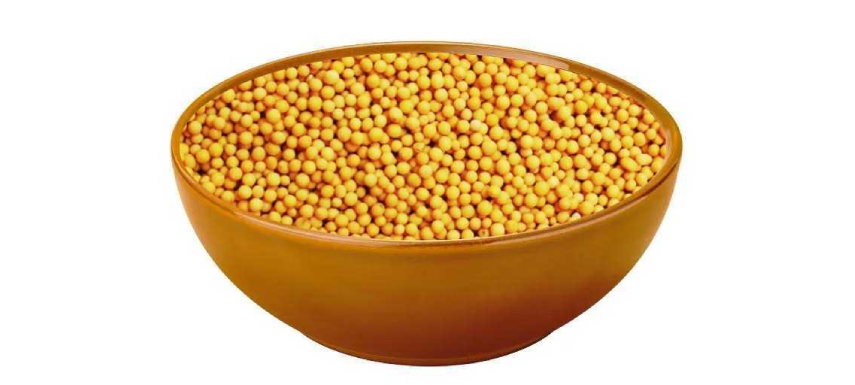 Yellow Mustard Seeds Beans 1