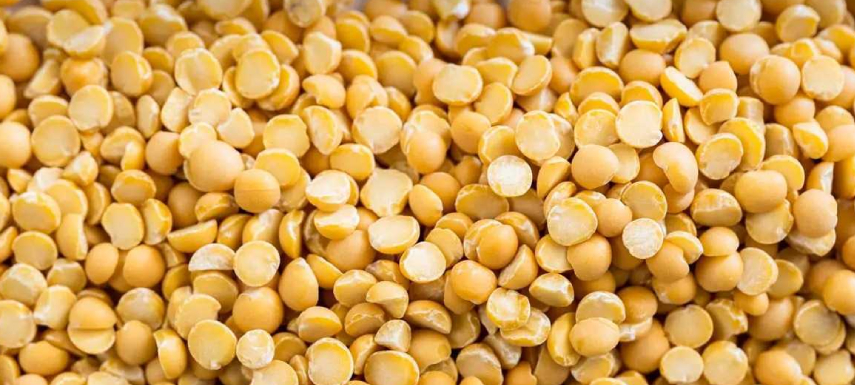 Yellow Peas Beans